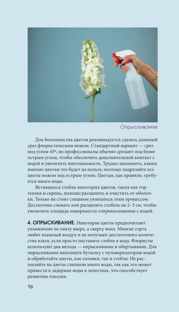Flowers for a Bouquet. A Guide to Cut Flowers for the Beginning Florist. What and When to Buy and How to Extend the Life of Flowers